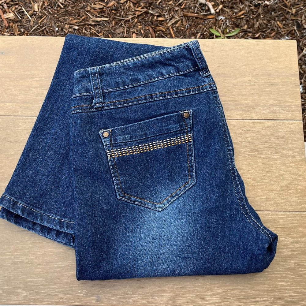 JZ Jeans Division Of Nina Rossie Jeans Size 11